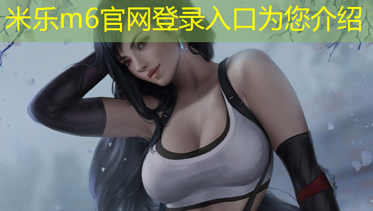 <strong>米乐为您介绍：金陵网球网价格</strong>